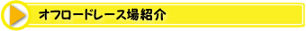 �r�b�O�p���[�I�t���[�h���[�X��Љ�
