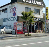 ���c���W�R���͌^�O�ώʐ^